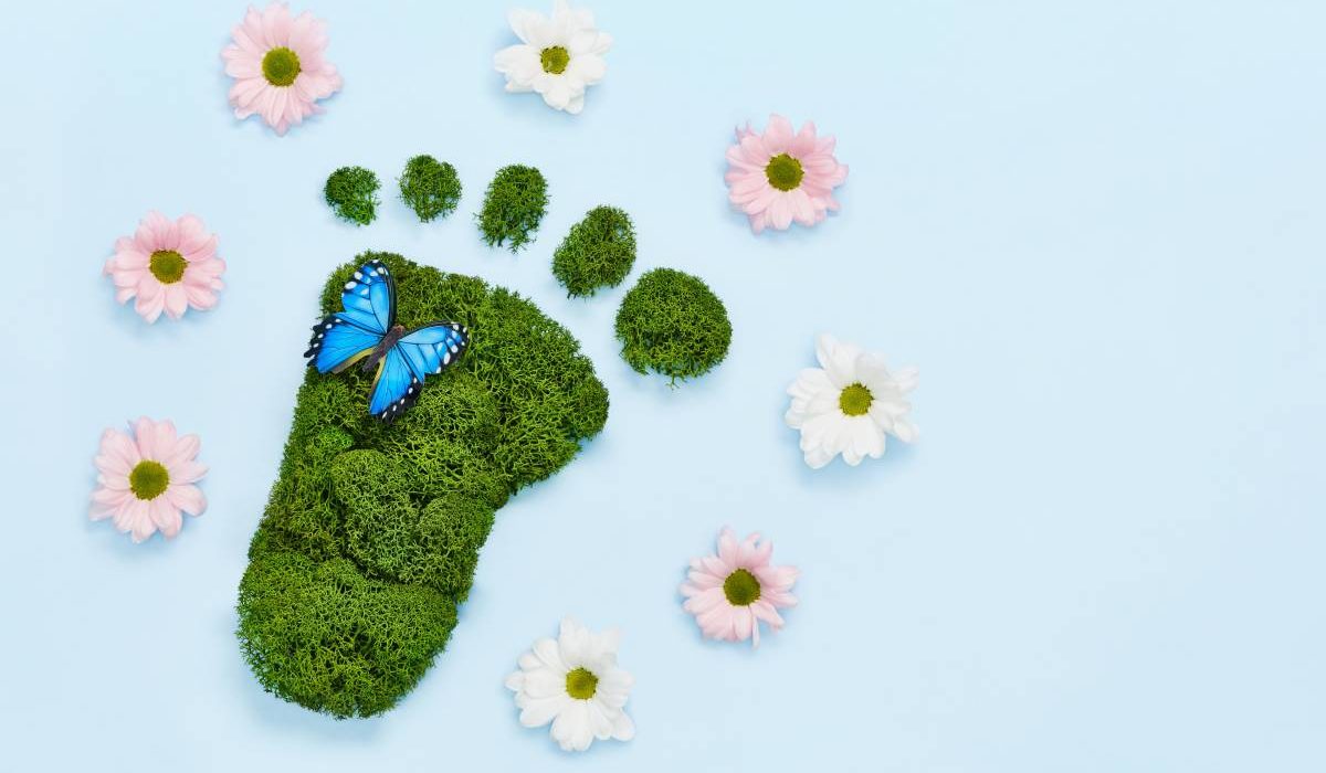 Creative eco, environmental care, earth day concept. Barefoot footprint made of natural green moss, flowers and butterfly on blue background. (Creative eco, environmental care, earth day concept. Barefoot footprint made of natural green moss, flowers