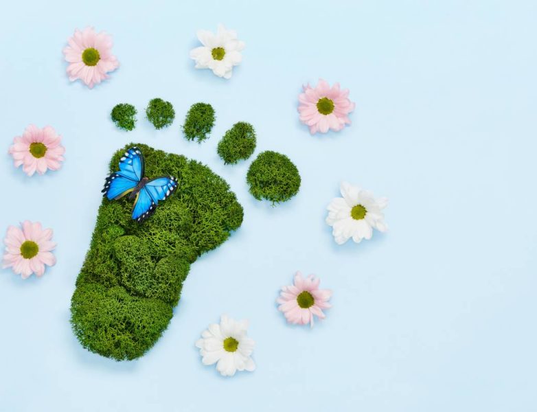 Creative eco, environmental care, earth day concept. Barefoot footprint made of natural green moss, flowers and butterfly on blue background. (Creative eco, environmental care, earth day concept. Barefoot footprint made of natural green moss, flowers