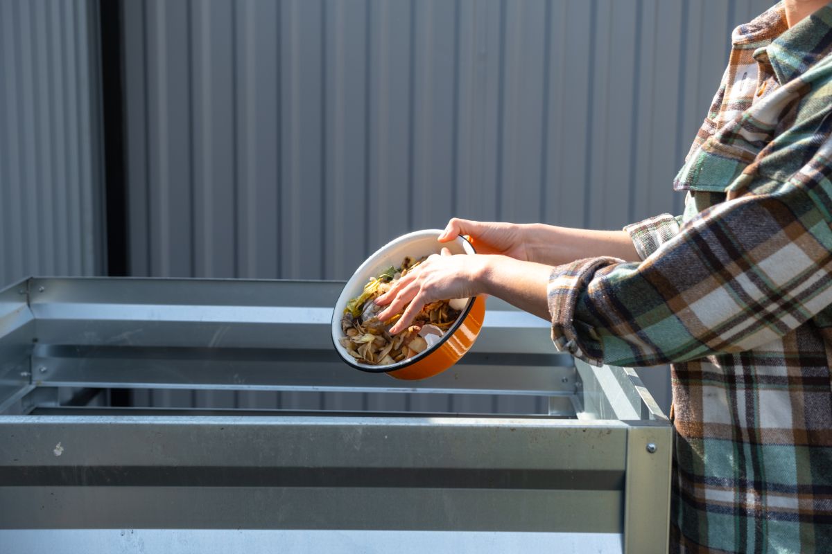 A woman in a plaid shirt pours food waste from a bowl into a compost heap of potato and carrot peelings. Compost box made of metal, eco-friendly fertilizer for the garden