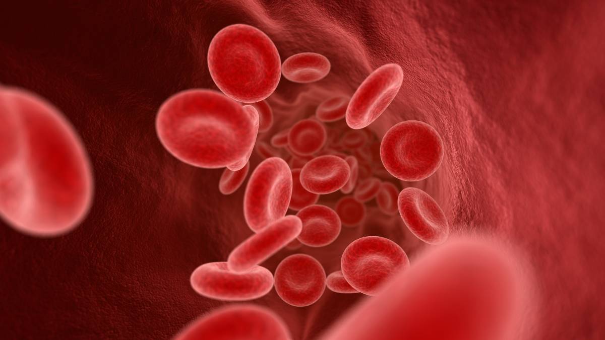 blood cells