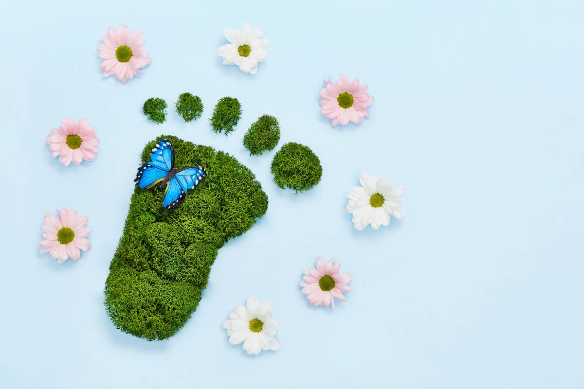 Creative eco, environmental care, earth day concept. Barefoot footprint made of natural green moss, flowers and butterfly on blue background. (Creative eco, environmental care, earth day concept. Barefoot footprint made of natural green moss, flowers
