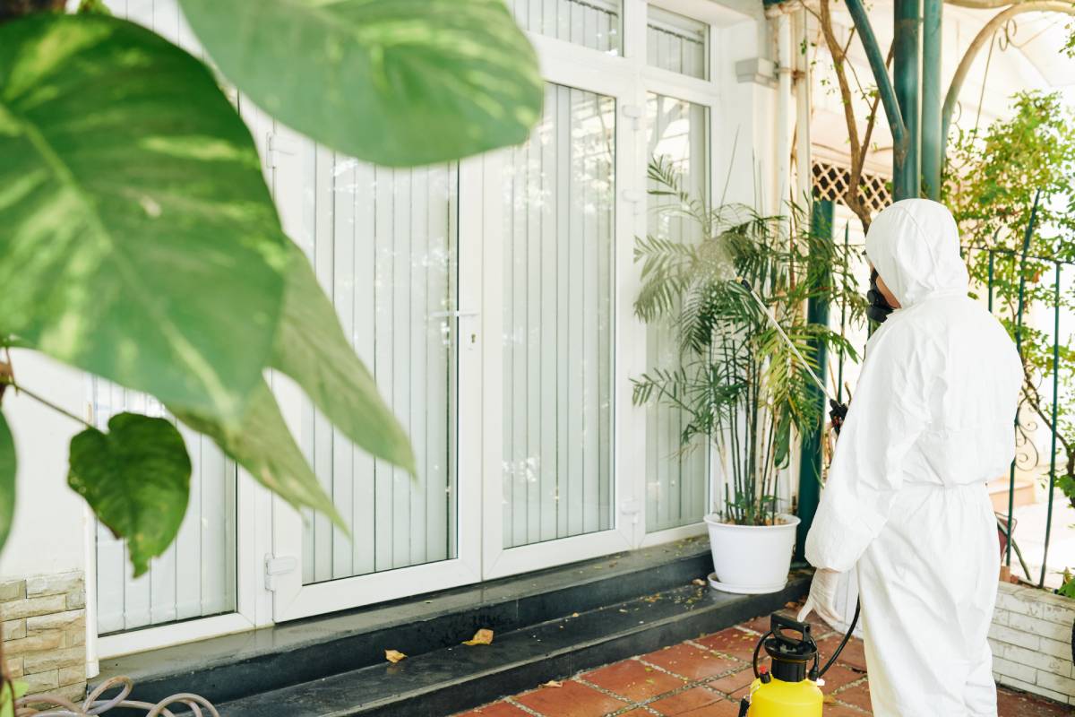 Here’s a comprehensive guide to the most common insects to look out for when moving into your new home—and what to do if you find them.