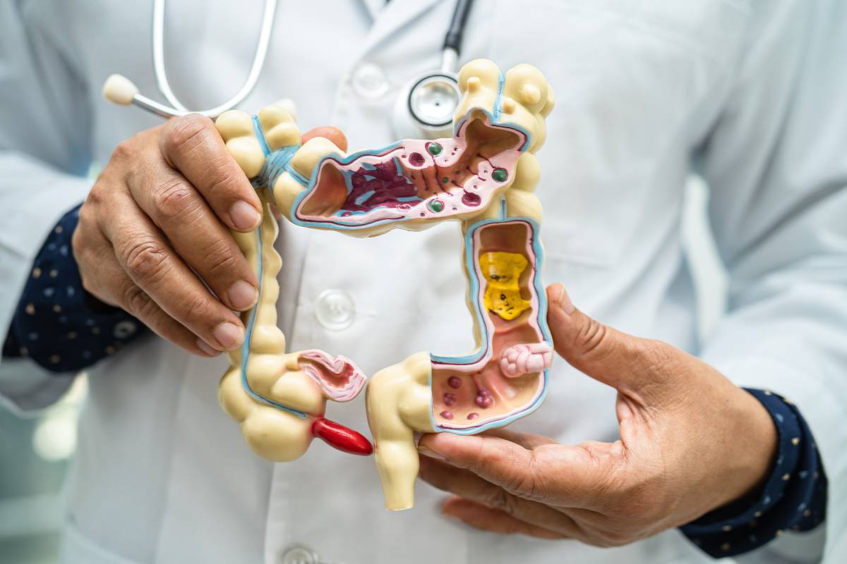 digestive